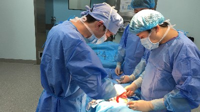 膽囊切除后為什么長期腹瀉？